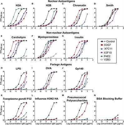 Histone H2A-Reactive B Cells Are Functionally Anergic in Healthy Mice With Potential to Provide Humoral Protection Against HIV-1